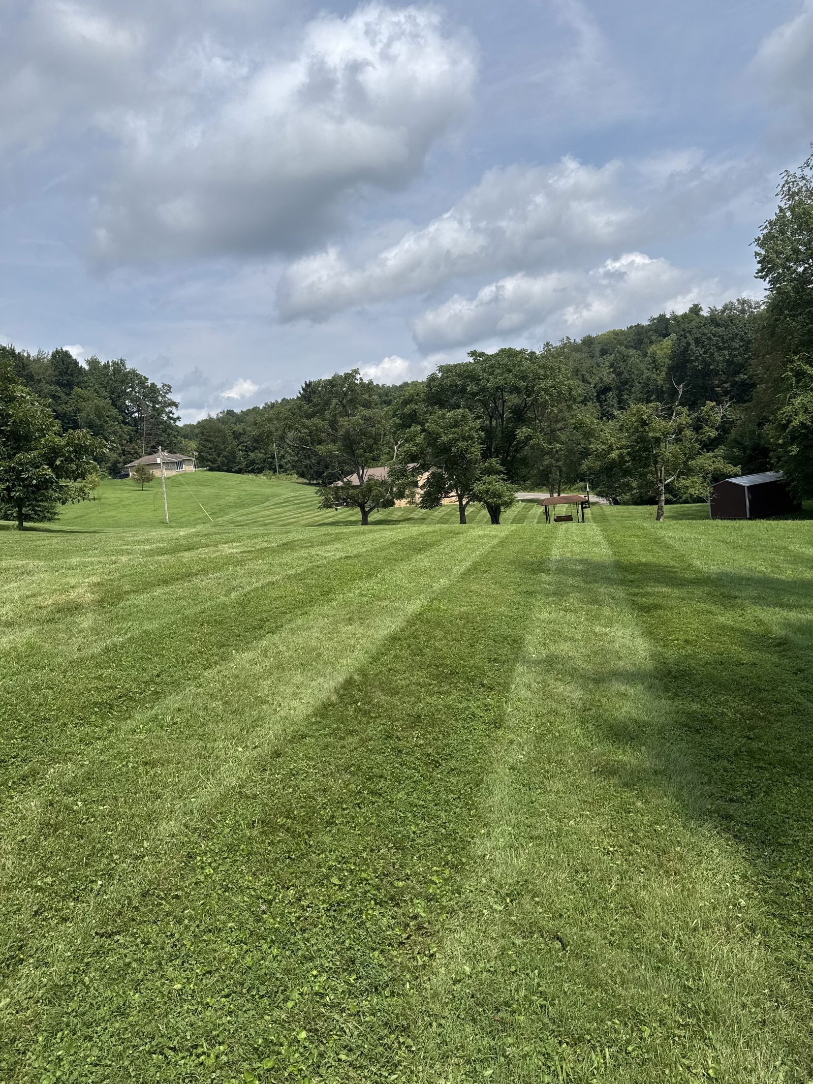 Freshly cut lawn with crisp mowing stripes